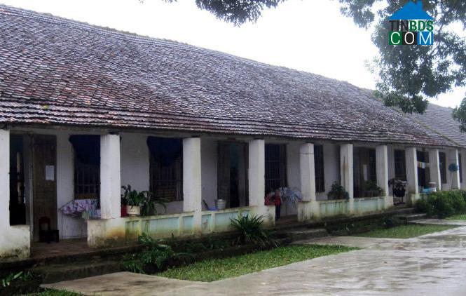 Hình ảnh Thiệu Hóa, Thanh Hóa