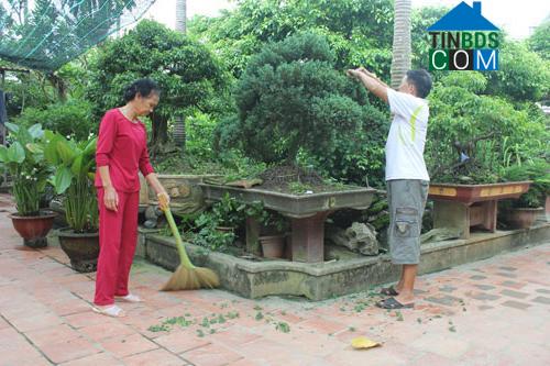 Hình ảnh Thiệu Trung, Thanh Hóa