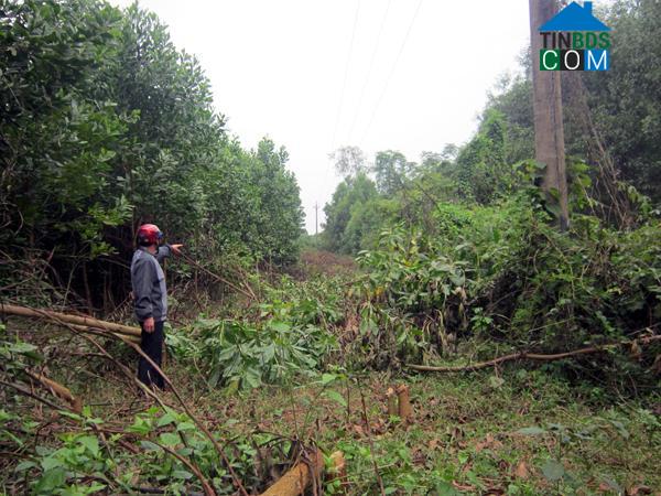 Hình ảnh Thọ Bình, Thanh Hóa