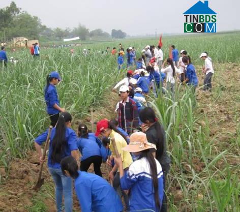 Hình ảnh Thọ Lập, Thanh Hóa