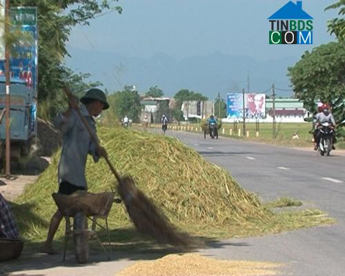Hình ảnh Thọ Ngọc, Thanh Hóa