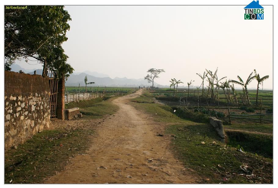 Hình ảnh Ba Đình, Thanh Hóa