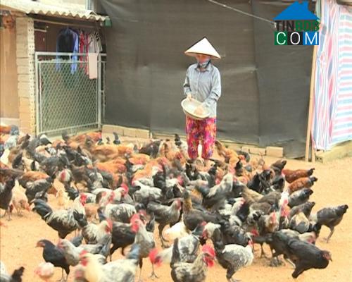 Hình ảnh Như Thanh, Thanh Hóa