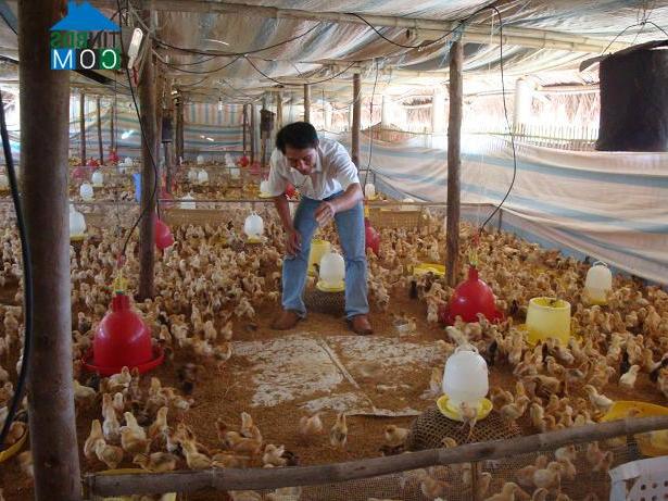 Hình ảnh Phú Hồ, Huế