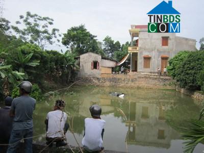 Hình ảnh Thọ Phú, Thanh Hóa