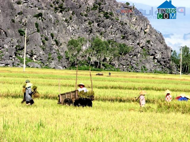 Hình ảnh Quý Lộc, Thanh Hóa