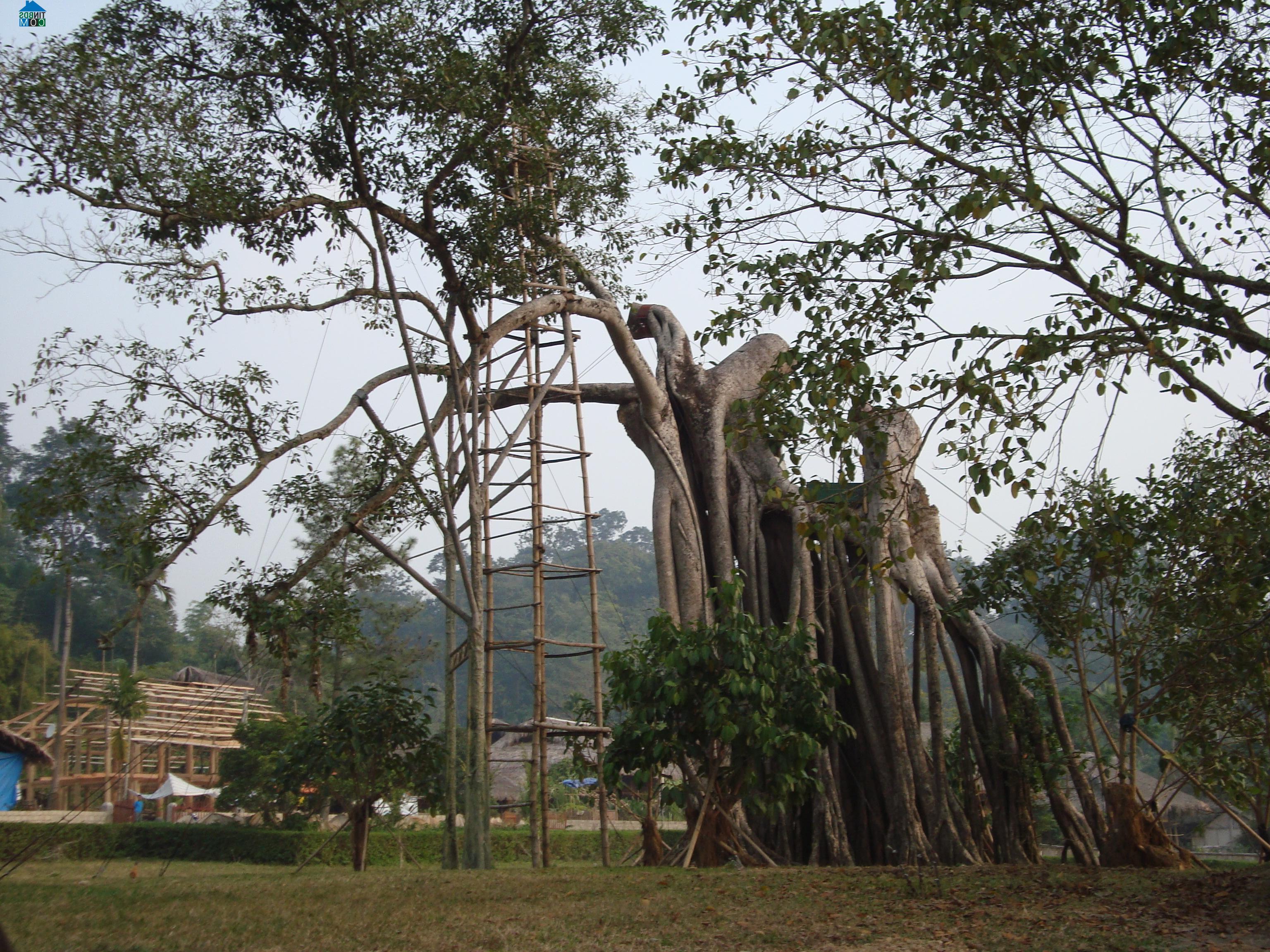 Hình ảnh Tân Trào, Tuyên Quang