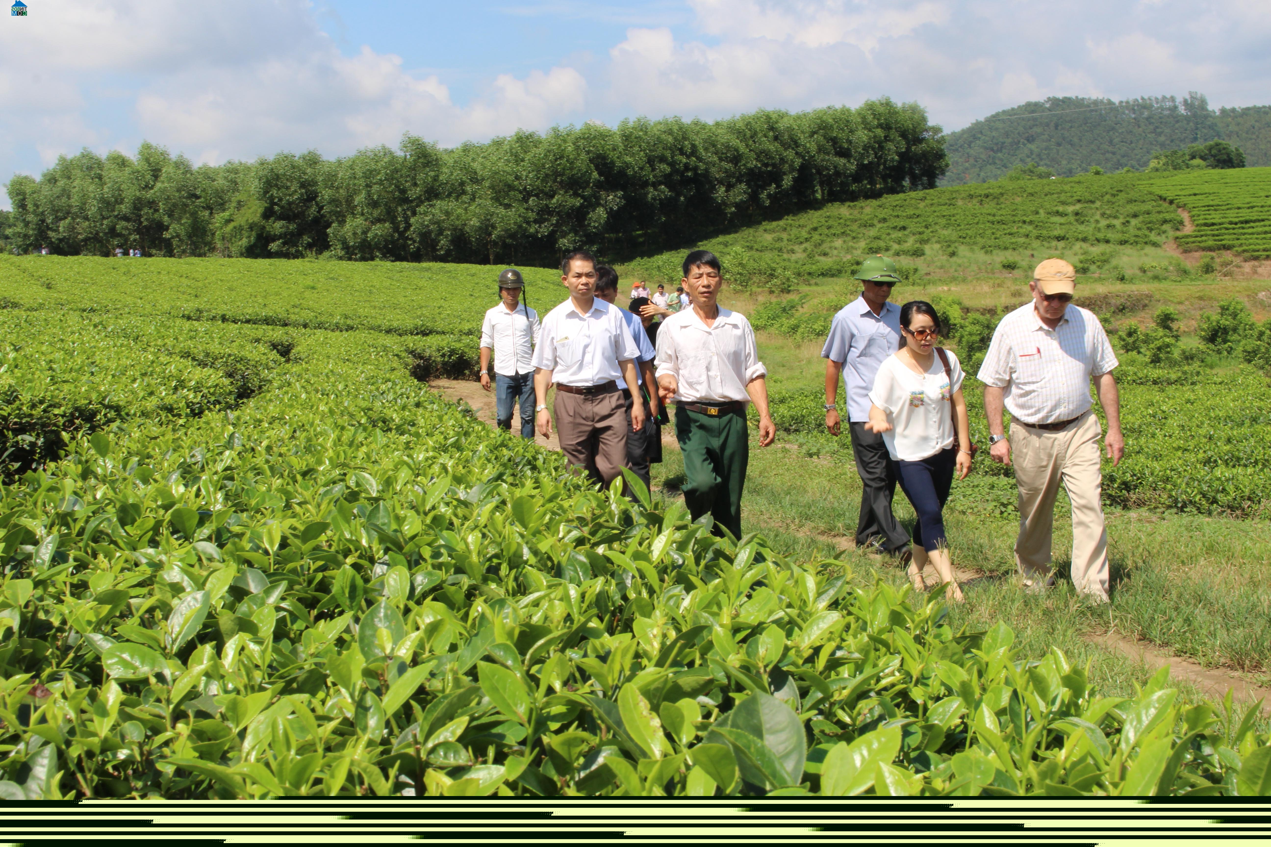 Hình ảnh Tân Thanh, Tuyên Quang