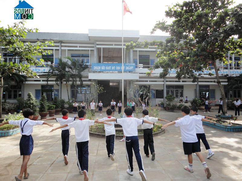 Hình ảnh Cầu Ngang, Vĩnh Long