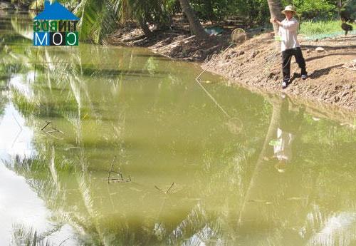 Hình ảnh Đại Điền, Vĩnh Long