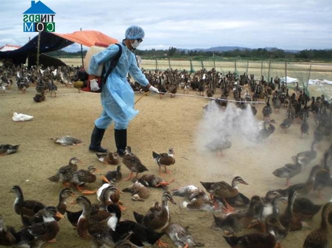 Hình ảnh Bình Phước, Vĩnh Long