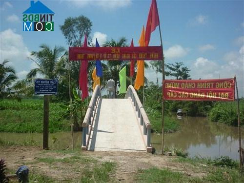 Hình ảnh Phong Thạnh, Vĩnh Long