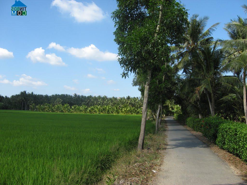 Hình ảnh Giao Long, Vĩnh Long