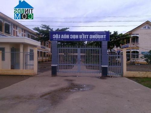 Hình ảnh Tân Thành Bình, Vĩnh Long