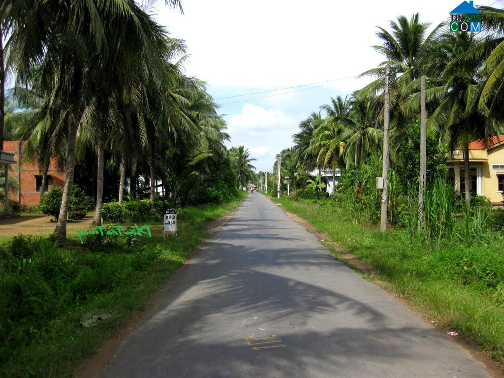 Hình ảnh Tân Hào, Vĩnh Long