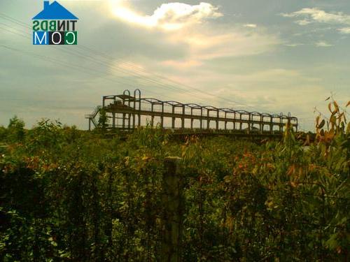 Hình ảnh Tân Xuân, Vĩnh Long