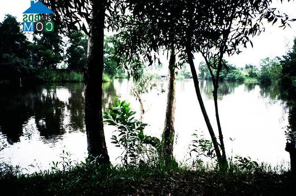 Hình ảnh An Xuyên, Cà Mau