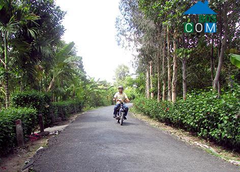 Hình ảnh Hỏa Lựu, Cần Thơ