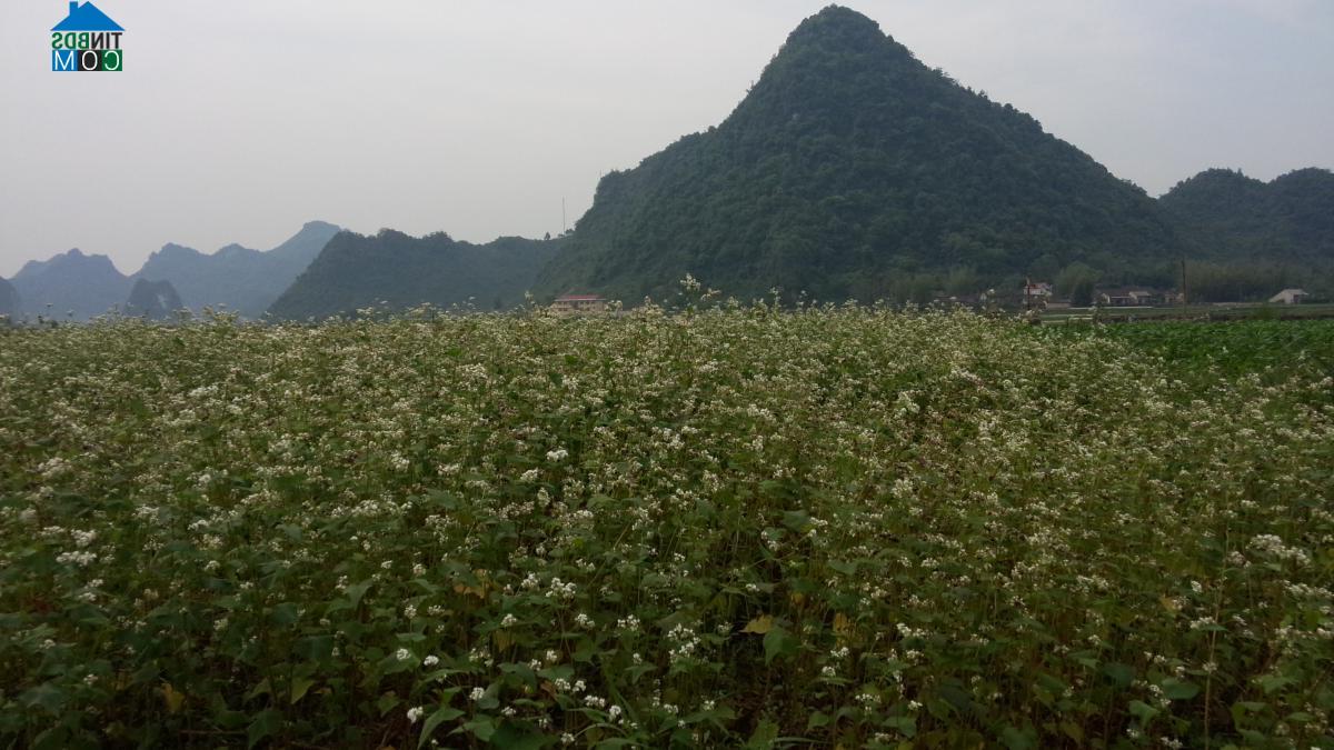 Hình ảnh Đình Phong, Cao Bằng