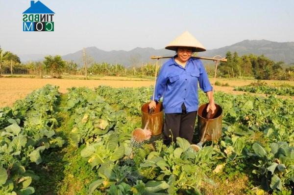 Hình ảnh Thục Phán, Cao Bằng