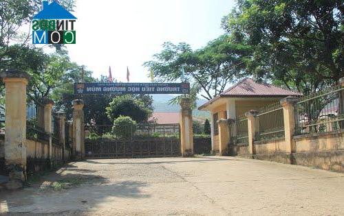 Hình ảnh Mường Mùn, Điện Biên