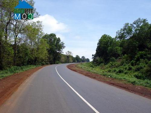 Hình ảnh Cư Bao, Đắk Lắk