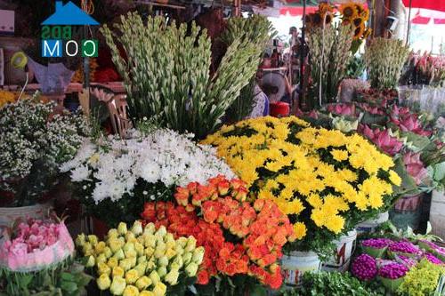 Hình ảnh Tây Hồ, Hà Nội