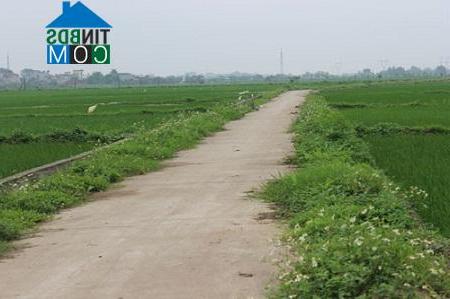 Hình ảnh Thường Tín, Hà Nội