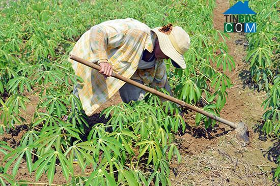 Hình ảnh Quế Sơn Trung, Đà Nẵng