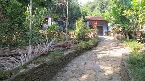 Hình ảnh Thạnh Bình, Đà Nẵng