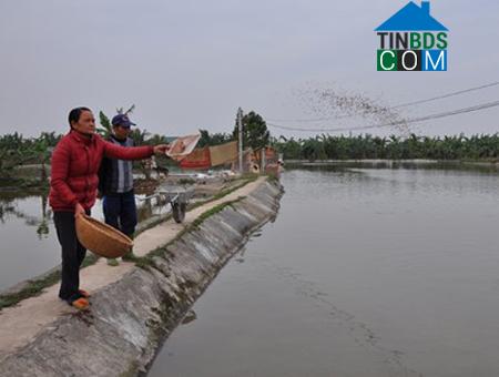 Hình ảnh Nguyên Giáp, Hải Phòng