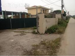 Hình ảnh Trường Tân, Hải Phòng