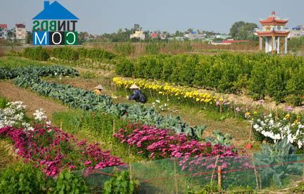 Hình ảnh An Dương, Hải Phòng