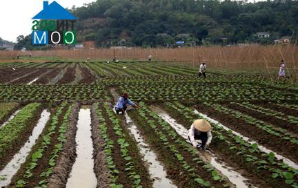 Hình ảnh Tân Kỳ, Hải Phòng