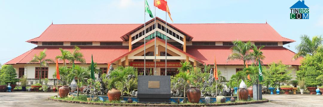 Hình ảnh Thái Tân, Hải Phòng