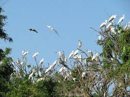 Hình ảnh Nam Thanh Miện, Hải Phòng