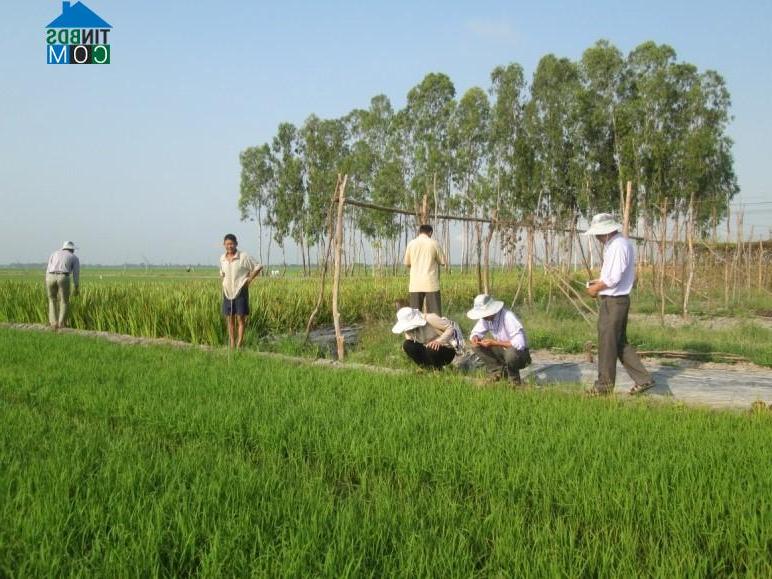 Hình ảnh Vĩnh An, An Giang