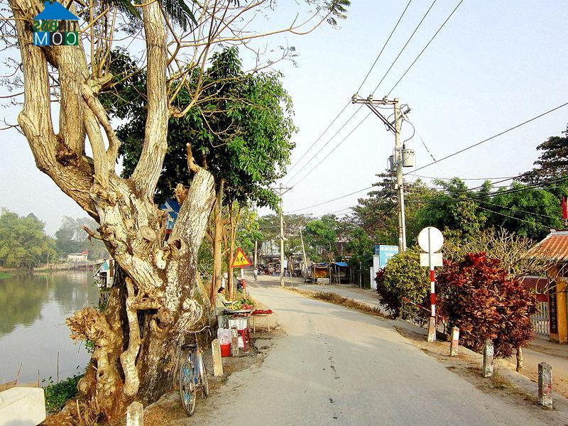 Hình ảnh Vĩnh Trạch, An Giang