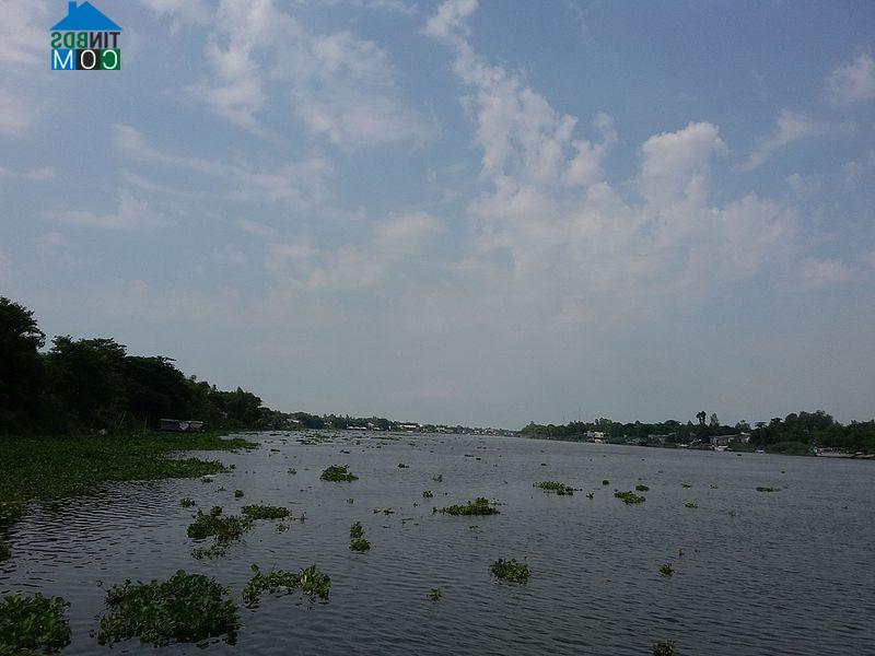 Hình ảnh Phú Hữu, An Giang