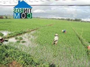 Hình ảnh Tân Hiệp, An Giang