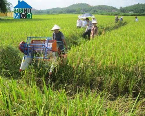 Hình ảnh Gia Bình, Bắc Ninh