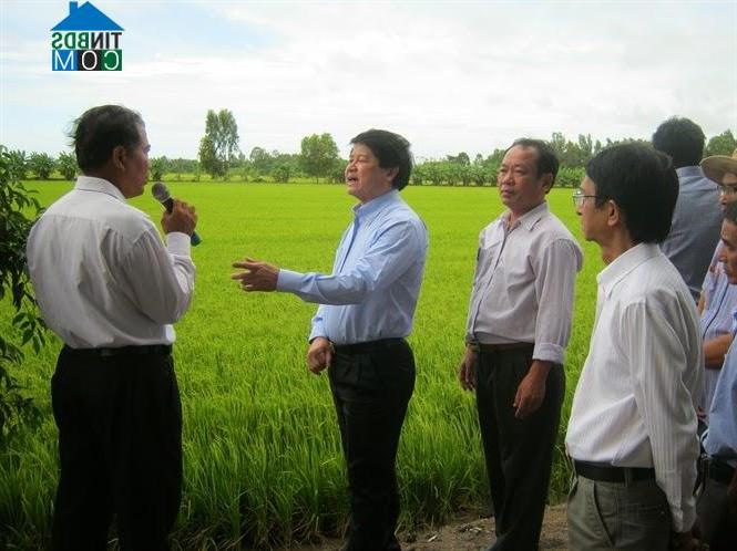 Hình ảnh Thạnh Lộc, An Giang