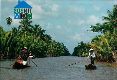 Hình ảnh Phú Tân, An Giang