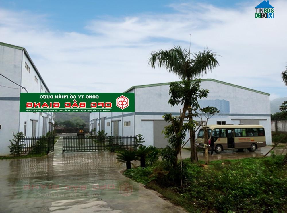 Hình ảnh Tiền Phong, Bắc Ninh