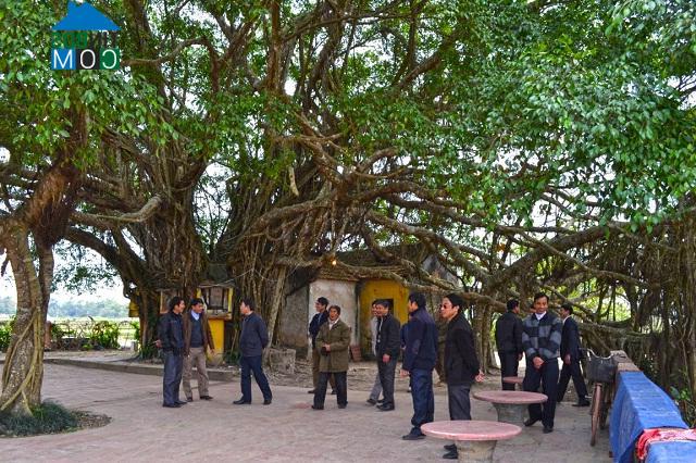 Hình ảnh Nhã Nam, Bắc Ninh