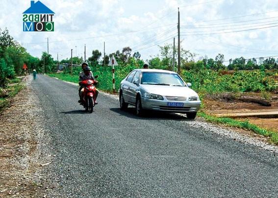 Hình ảnh U Minh, Cà Mau