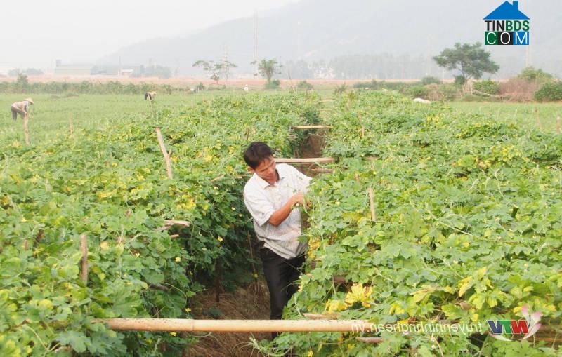 Hình ảnh Trung Lộc, Nghệ An