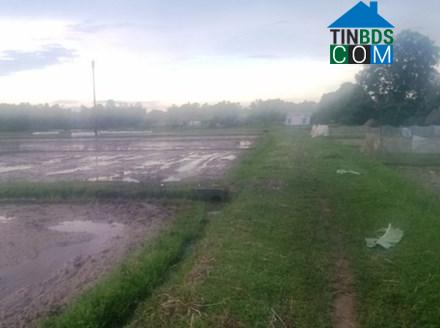 Hình ảnh Văn Hiến, Nghệ An