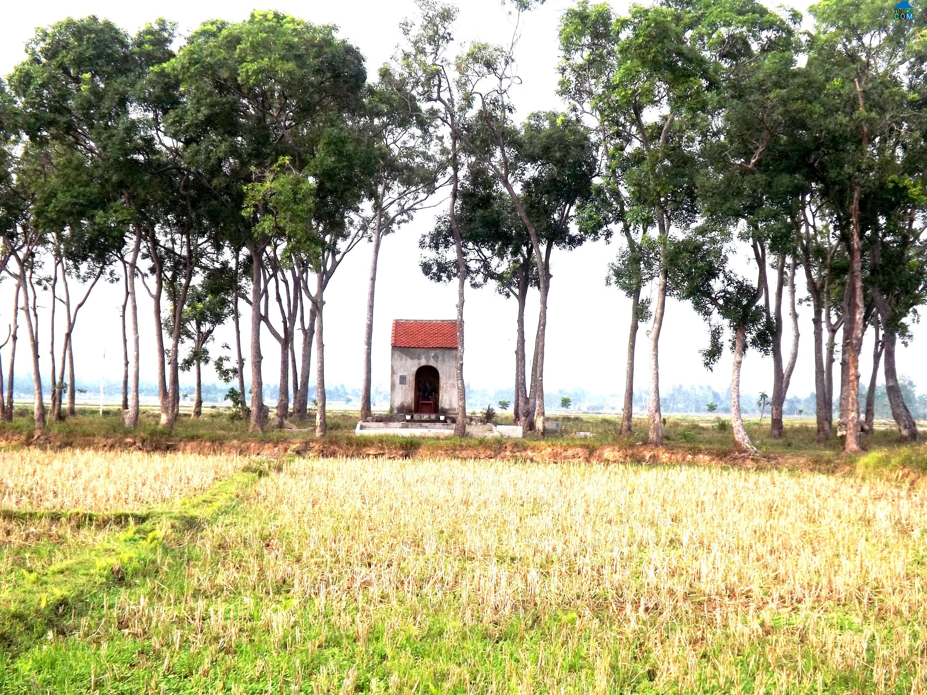 Hình ảnh Quỳnh Anh, Nghệ An