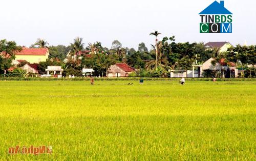 Hình ảnh Quỳnh Lưu, Nghệ An